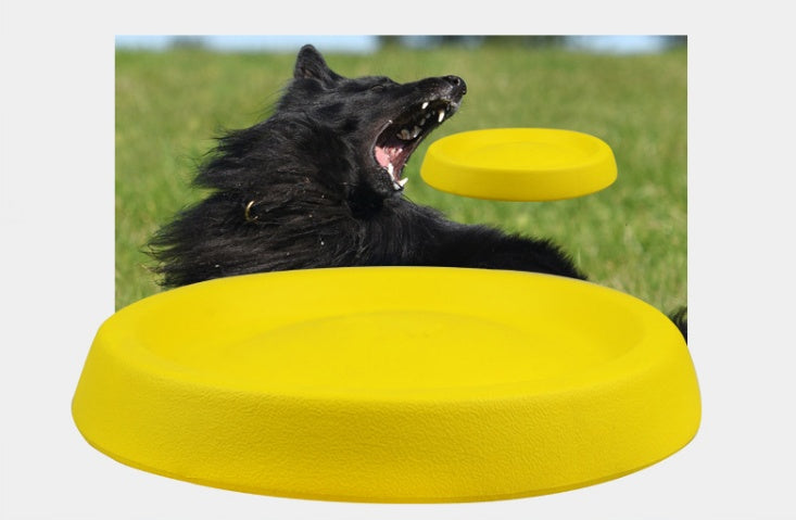 EVA Pet Throw Toy - Lightweight and Fun