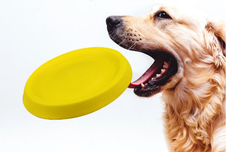 EVA Pet Throw Toy - Lightweight and Fun