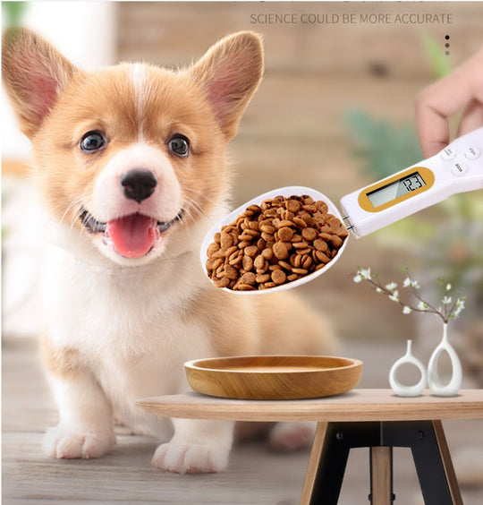 Digital Pet Food Measuring Spoon Scale – 5 Weighing Units & LCD Display